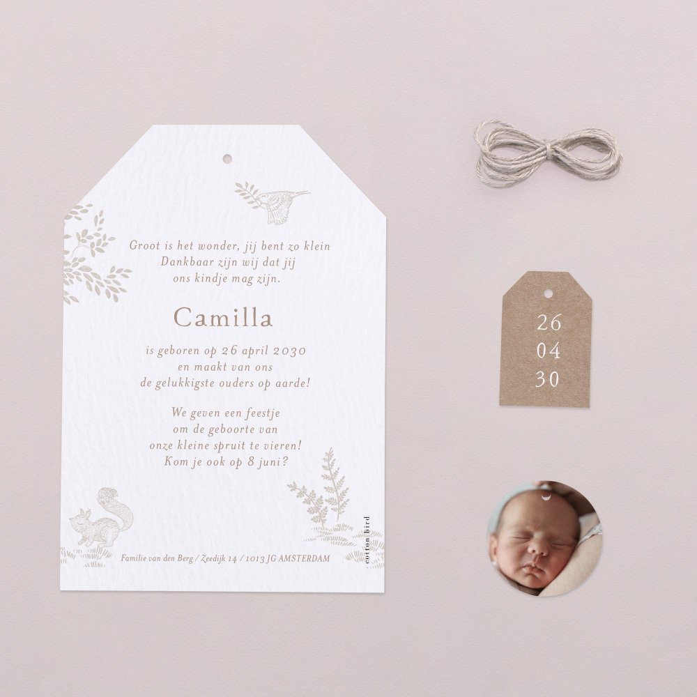 Sleeping Forest - Nature