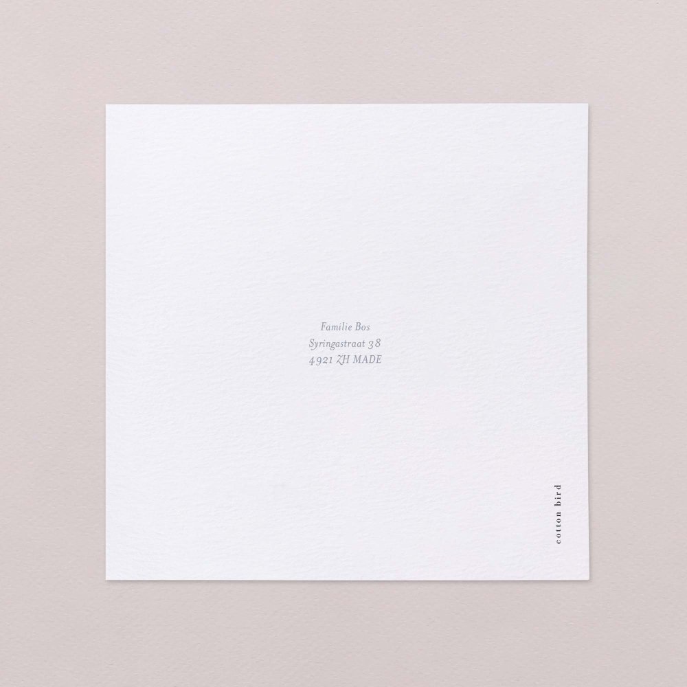 Mijn kleine baldakijn