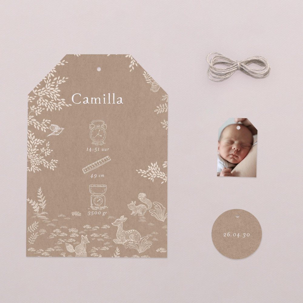 Sleeping Forest - Nature