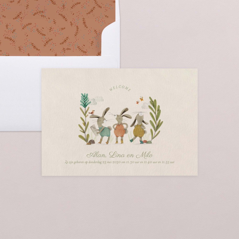 Drie kleine konijntjes