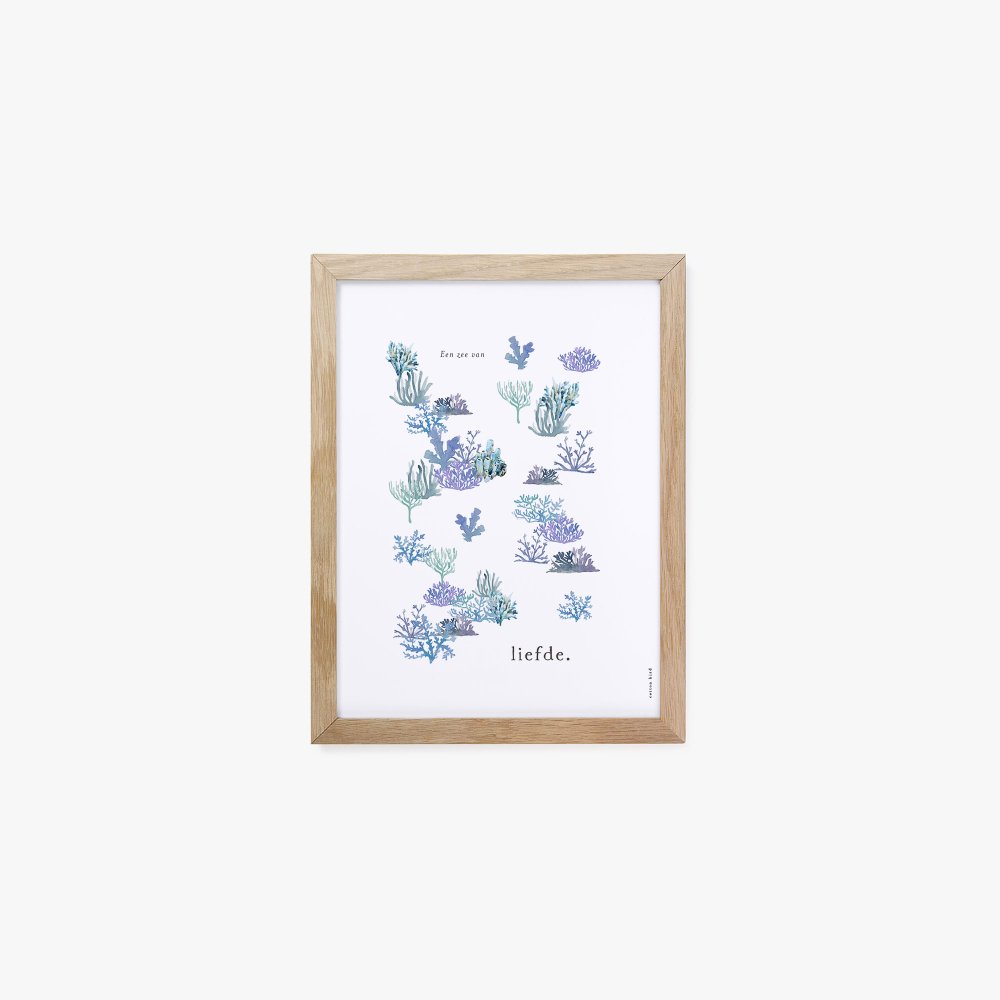 Ontdekkingsreiziger 2