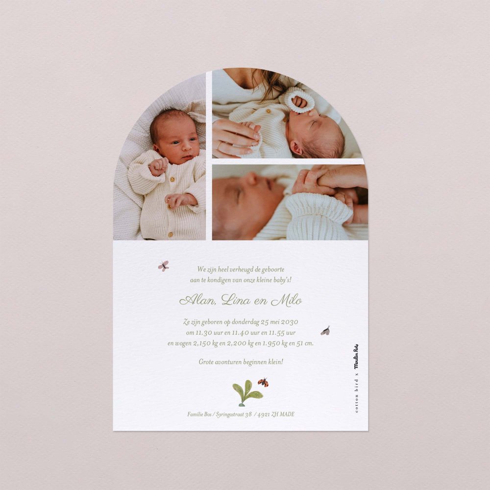 Drie kleine konijntjes