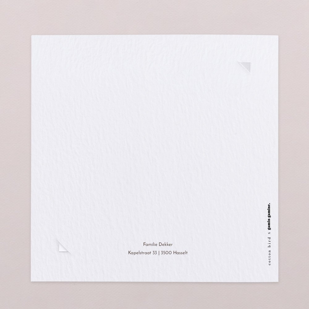 Dogs & dogs - Hazelnut