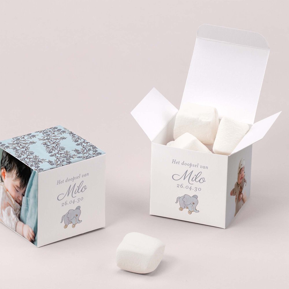 Mijn kleine baldakijn