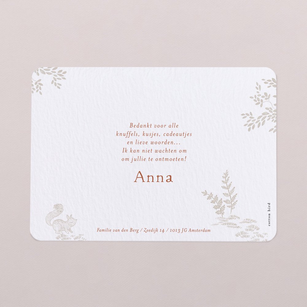 Sleeping Forest - Pink