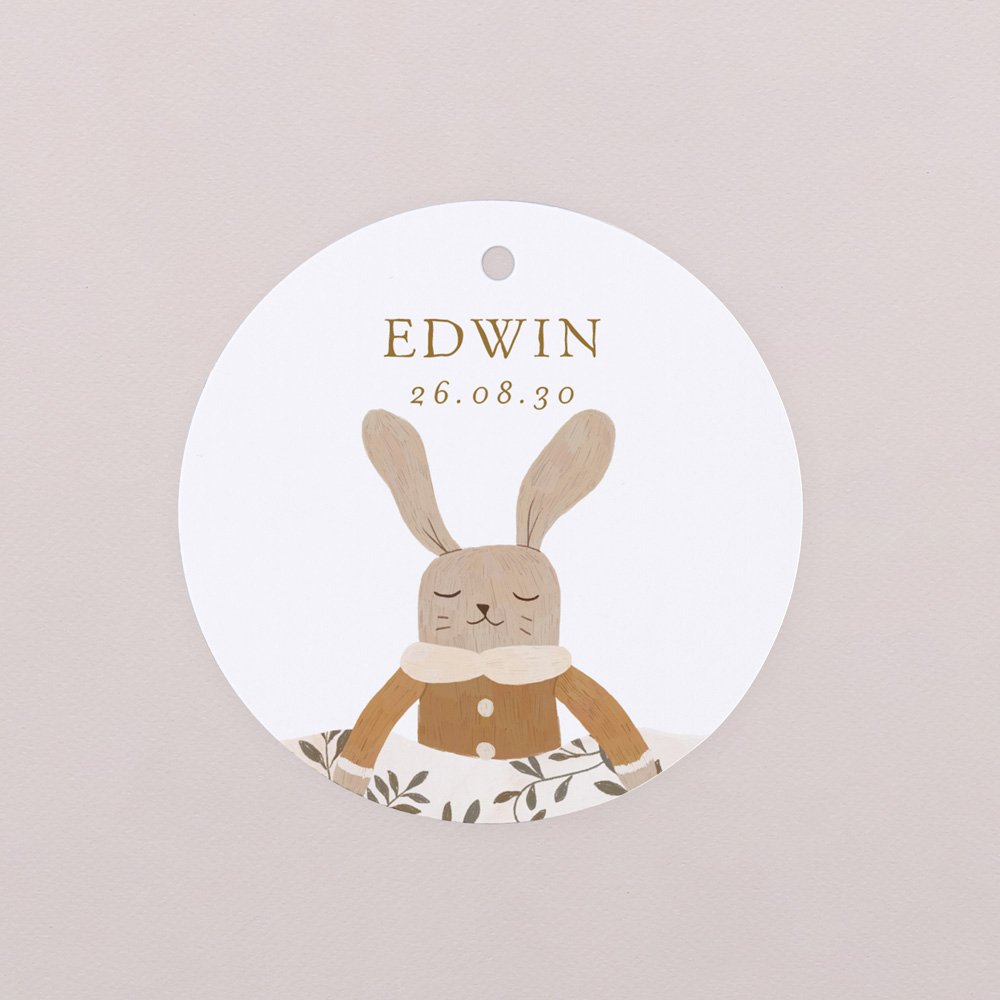 Little Dreamer - Bay Leaves