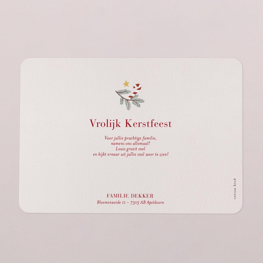 Soft Christmas - Kraft