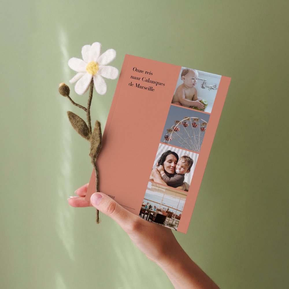 le Petit Quotidien - 5