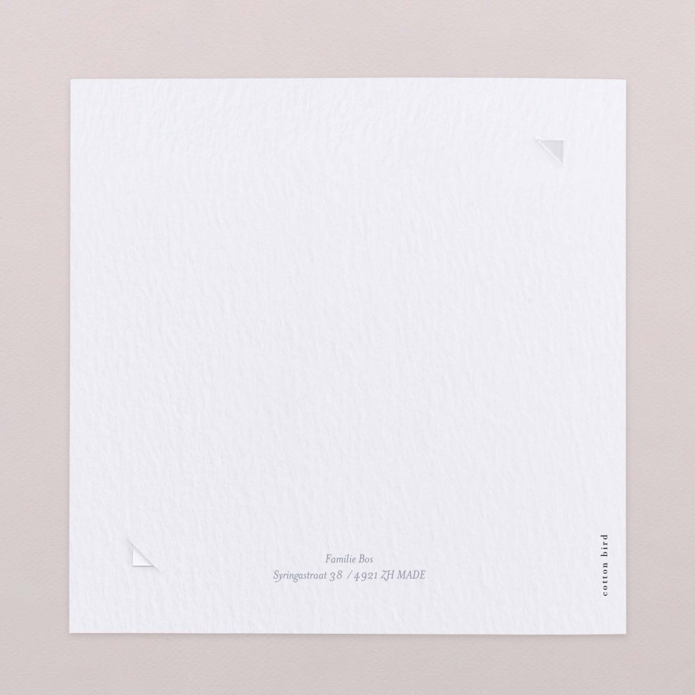 Mijn kleine baldakijn