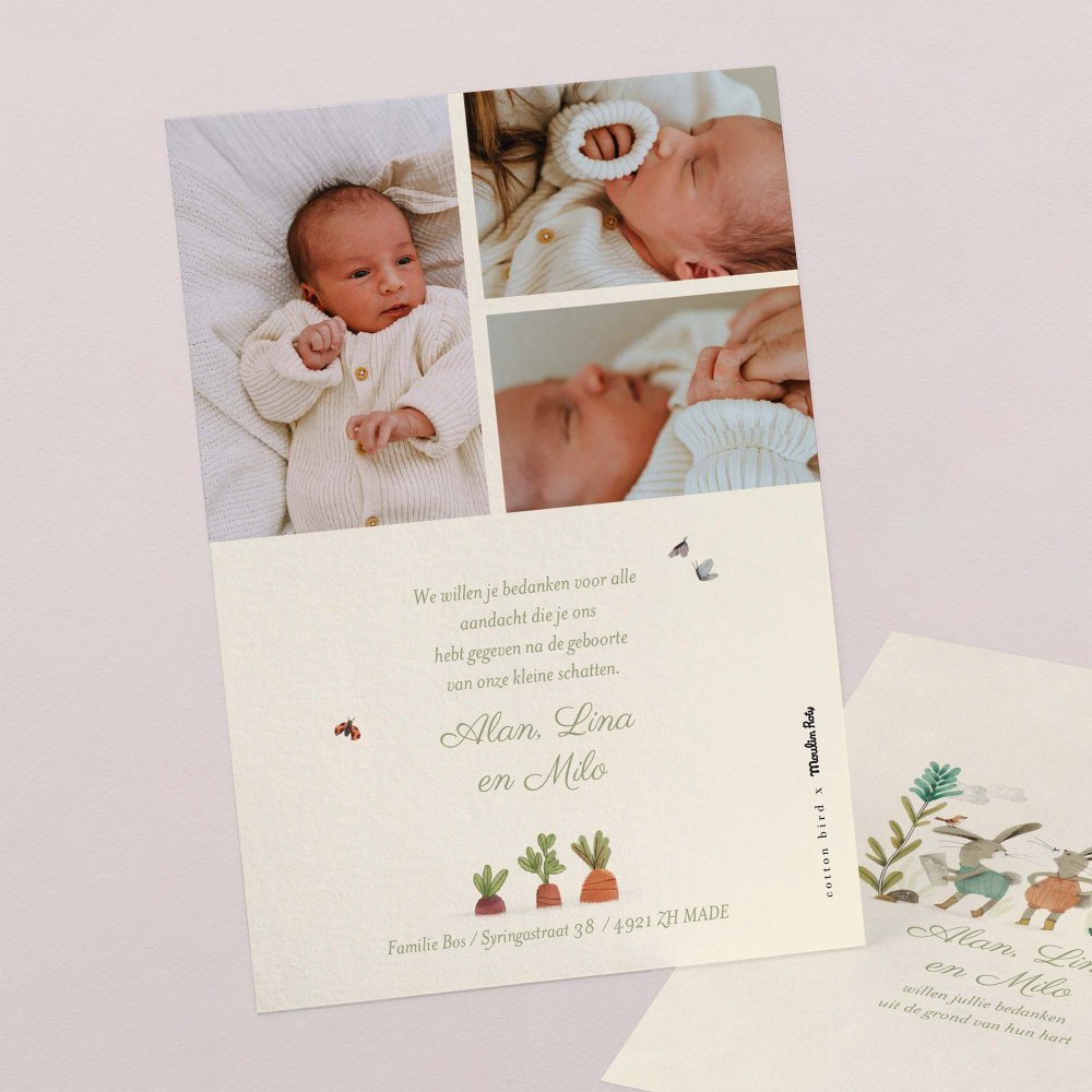 Drie kleine konijntjes