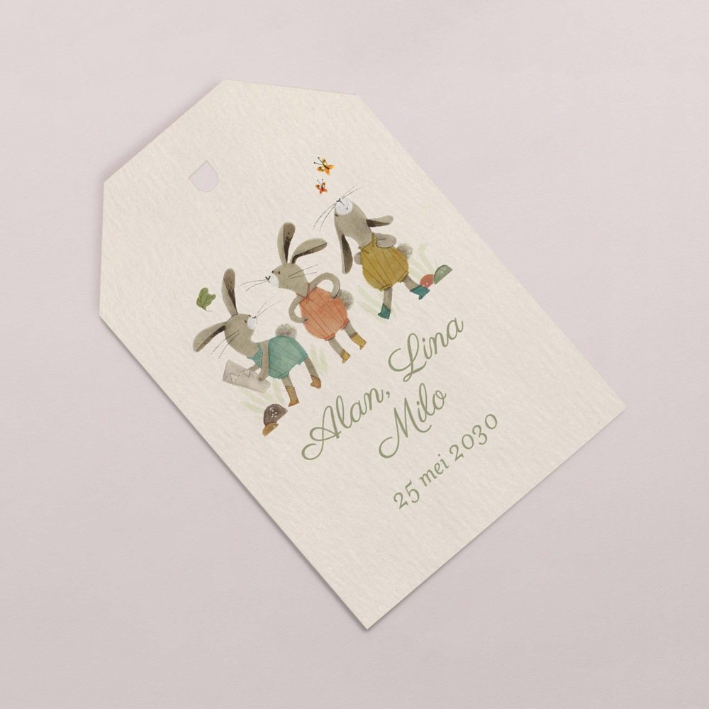 Drie kleine konijntjes