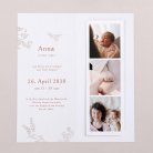 Sleeping Forest - Pink