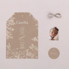 Sleeping Forest - Nature