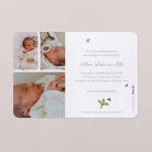 Drie kleine konijntjes