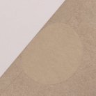 Sleeping Forest - Nature