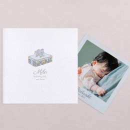 Mijn kleine baldakijn