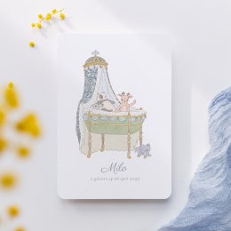 Mijn kleine baldakijn