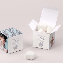 Mijn kleine baldakijn