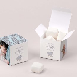 Mijn kleine baldakijn