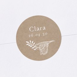 Sleeping Forest - Nature