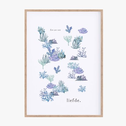 Ontdekkingsreiziger 2