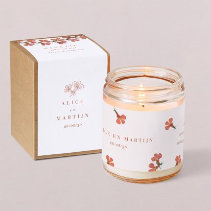 Lobelia Cardinalis I