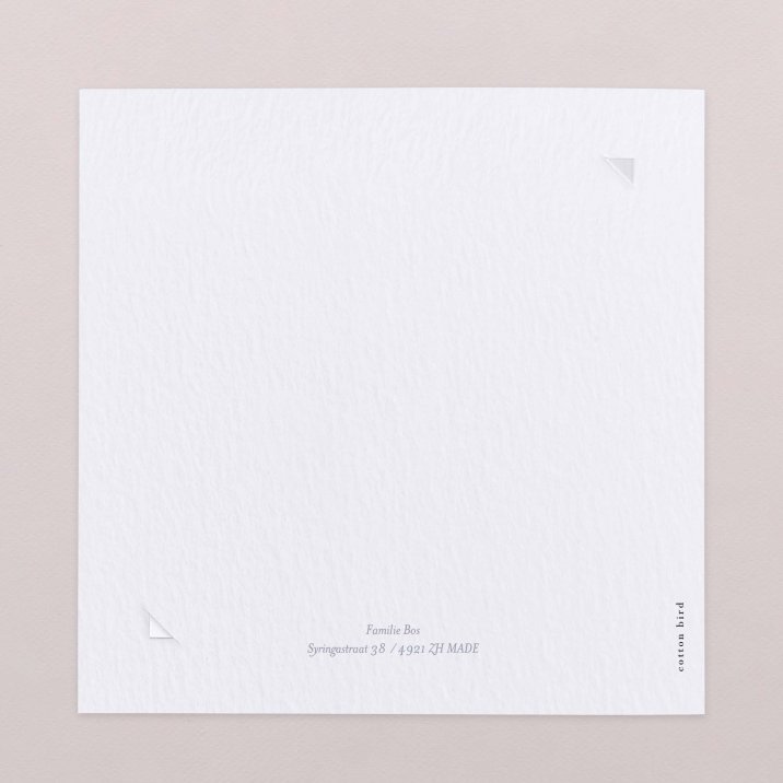 Mijn kleine baldakijn