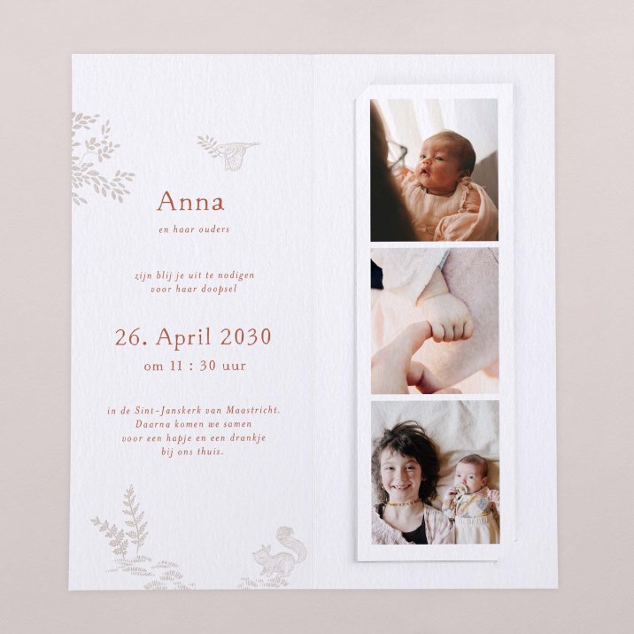 Sleeping Forest - Pink