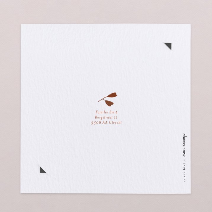 Little Dreamer - Meadow