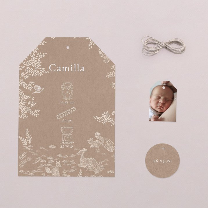 Sleeping Forest - Nature