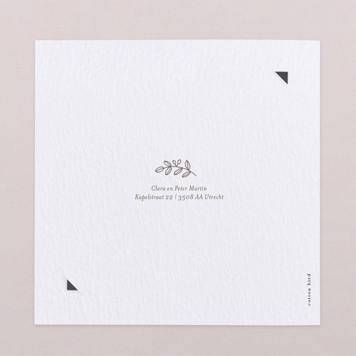 Plechtigheid - Kraft