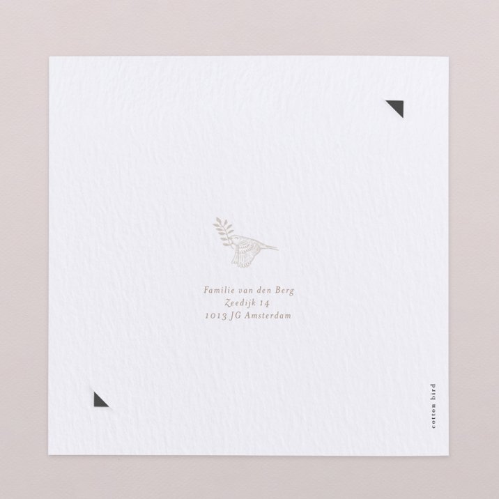 Sleeping Forest - Nature