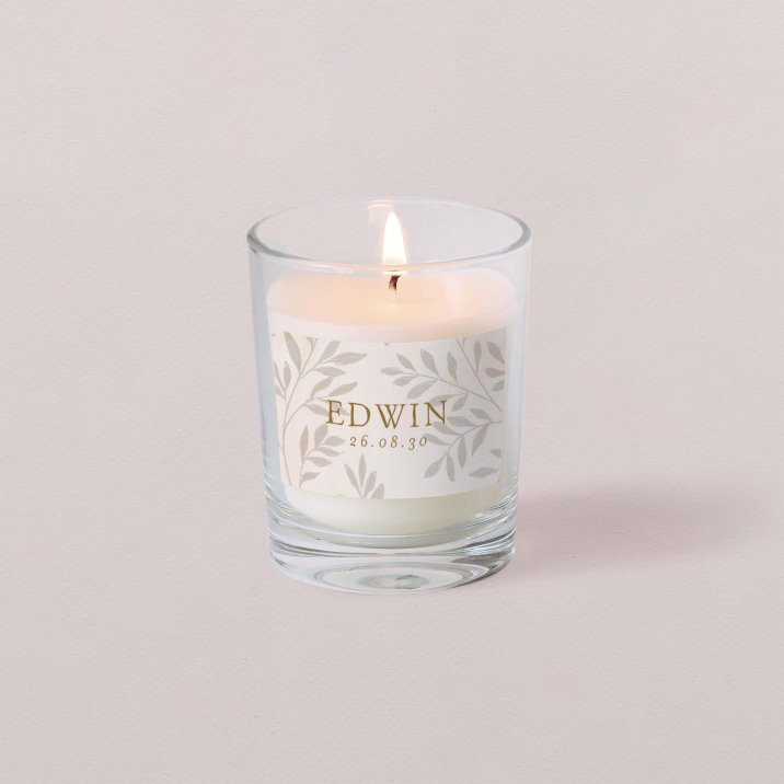 Little Dreamer - Bay Leaves