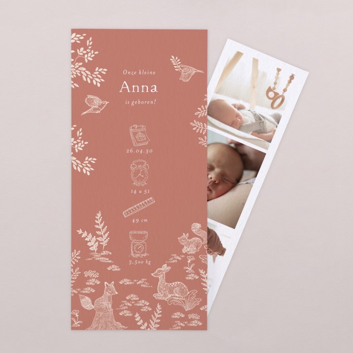 Sleeping Forest - Pink