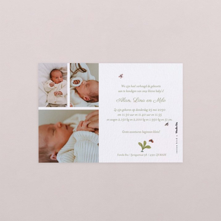 Drie kleine konijntjes