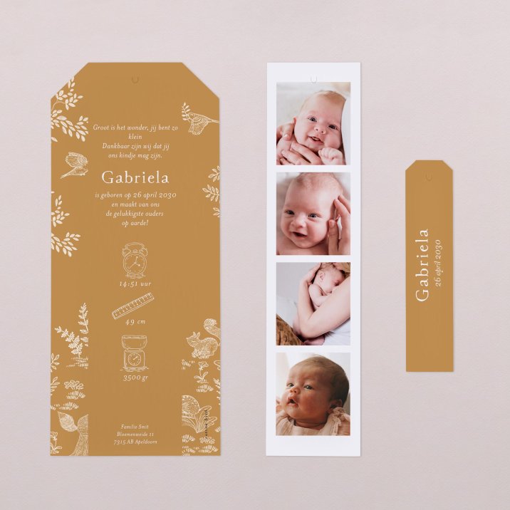 Sleeping forest - Honey