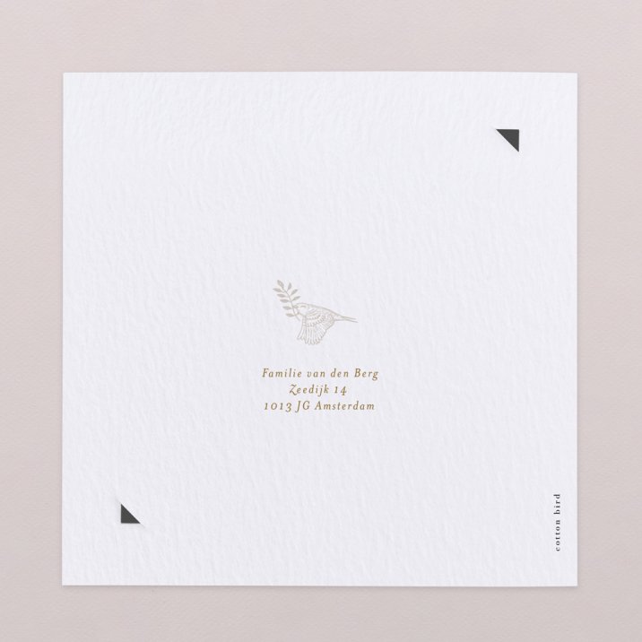 Sleeping forest - Honey