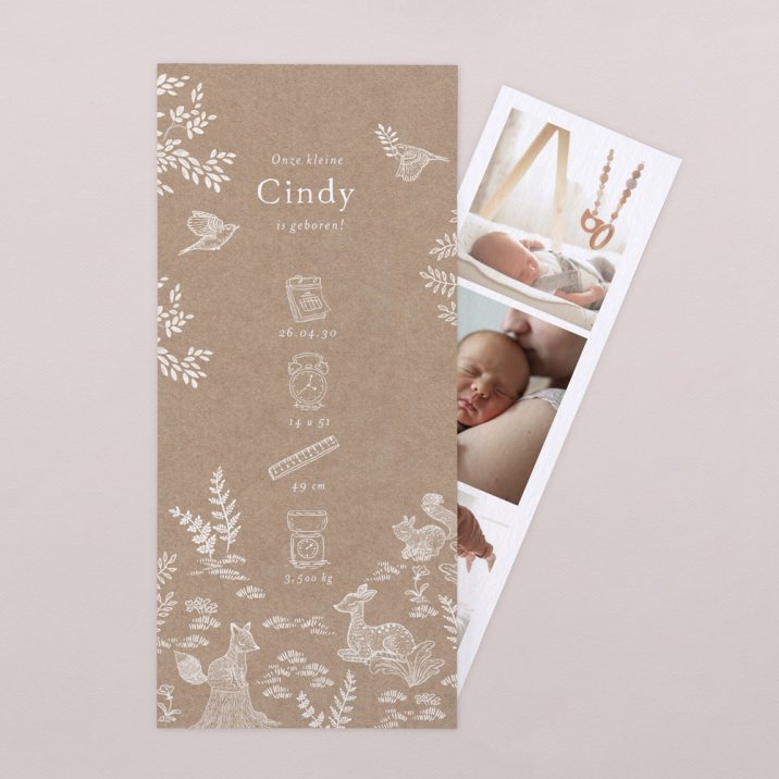 Sleeping Forest - Nature