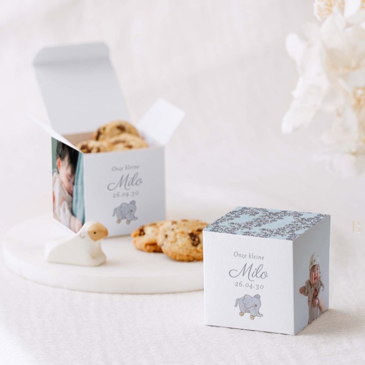 Mijn kleine baldakijn